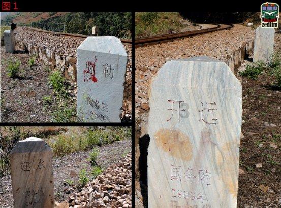 探索家里养什么植物好啊?的热门讨论| 家里养什么植物好啊?红迪网